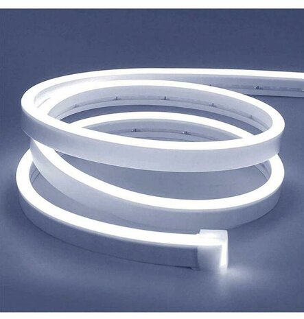 LED neon light - 5m 12V low voltage 12 mm (Colour: neutral white)