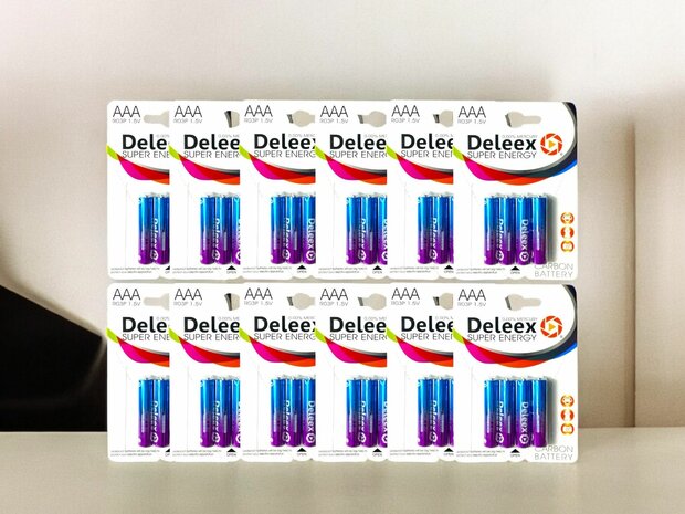 Deleex AAA batteries R03P 1.5V - 48 pieces in a pack