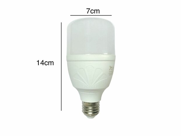 LED lighting - E27 fitting - 1W replaces 15W - 6500K daylight white Energy A